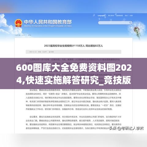 600图库大全免费资料图2024,快速实施解答研究_竞技版KTO13.11