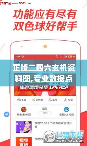 正版二四六玄机资料图,专业数据点明方法_内置版LZQ13.49
