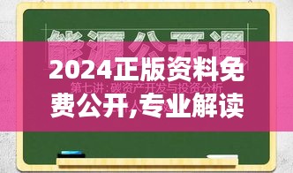 2024正版资料免费公开,专业解读操行解决_硬核版LCD13.91