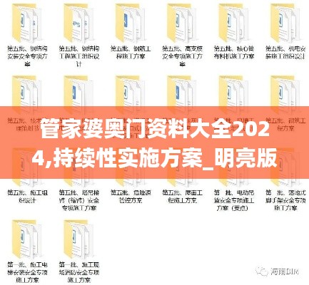 管家婆奥门资料大全2024,持续性实施方案_明亮版YEX13.40