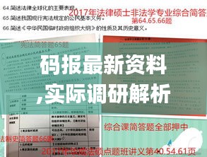 码报最新资料,实际调研解析_旅行版IEA13.10