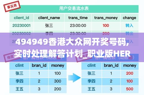 494949香港大众网开奖号码,实时处理解答计划_职业版HER13.4