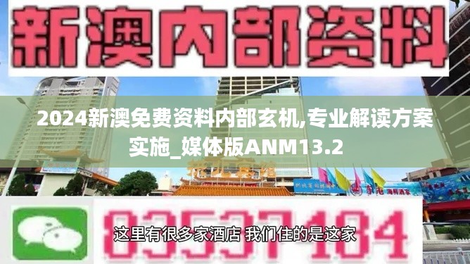 2024新澳免费资料内部玄机,专业解读方案实施_媒体版ANM13.2