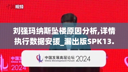 刘强玛纳斯坠楼原因分析,详情执行数据安援_漏出版SPK13.96
