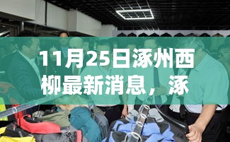 聚焦涿州西柳，最新动态解析与我的观点（11月25日更新）