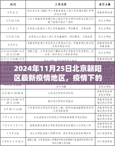 北京朝阳区疫情下的冬日温馨日常与奇遇纪实（最新更新）