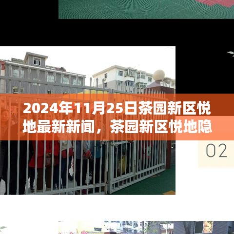 茶园新区悦地最新动态，隐秘瑰宝小巷特色小店探秘揭秘日（2024年11月25日）