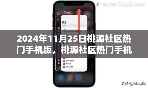 桃源社区热门手机版使用指南，从初学者到进阶用户的全方位指南（2024年11月版）