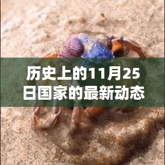 历史上的11月25日国家动态回顾与影响分析，最新动态及国家发展轨迹梳理