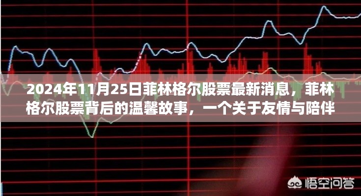 菲林格尔股票最新消息揭秘，股市背后的友情与陪伴故事（2024年11月25日）
