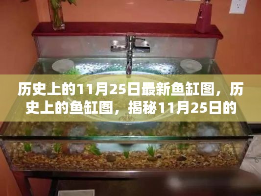 揭秘历史上的鱼缸图，探寻11月25日的神秘面纱与深远影响