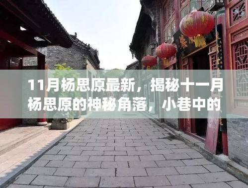 揭秘杨思原的神秘角落，十一月小巷中的独特风味小店