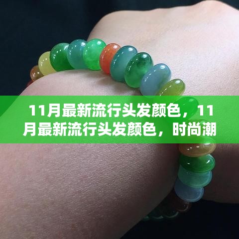 箪瓢陋室 第4页