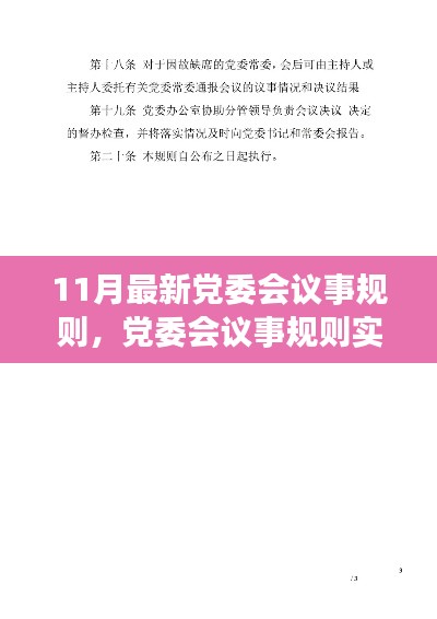 党委会议事规则实操指南，从初学者到进阶用户的全面指南（最新版）