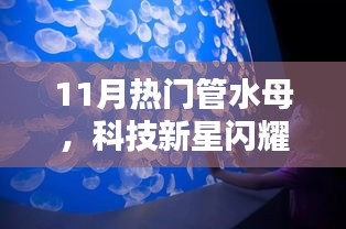 揭秘，科技新星闪耀下的管水母智能生活新宠的神秘面纱
