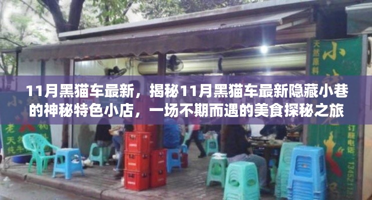 揭秘11月黑猫车最新隐藏特色小店，美食探秘之旅启程