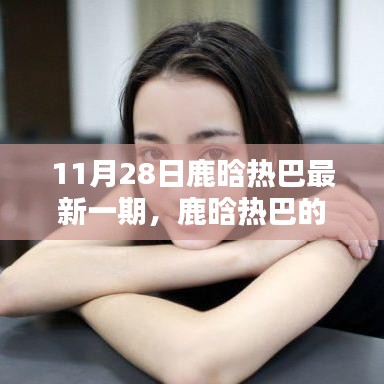 鹿晗热巴的温馨时光，欢乐日常的最新篇章（11月28日特辑）
