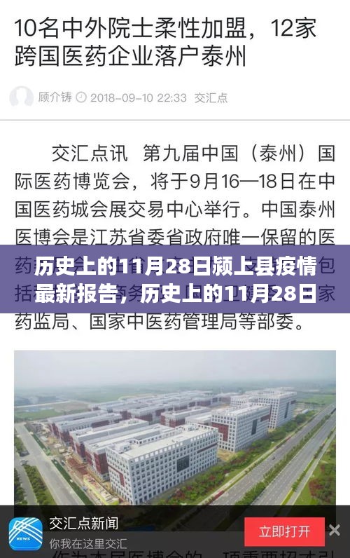 历史上的11月28日颍上县疫情最新报告，完全指南及应对策略解读