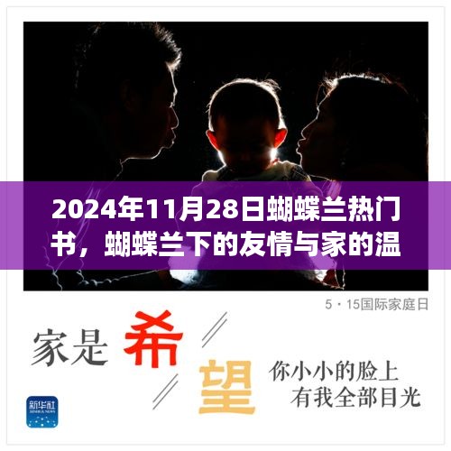 蝴蝶兰下的日常故事，友情与家的温暖在2024年11月28日绽放