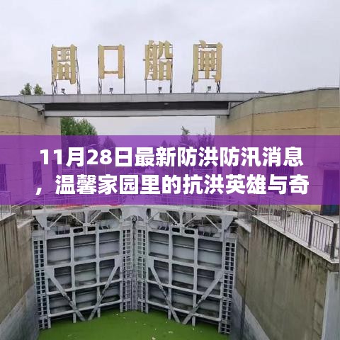 翰飞戾天 第5页