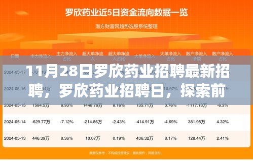 罗欣药业最新招聘日，探索前沿科技，共启医药新纪元