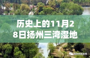 历史上的11月28日扬州三湾湿地公园，演变与启示