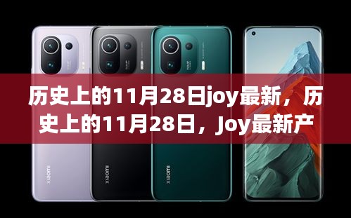 历史上的11月28日Joy产品全面评测与最新介绍