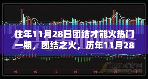 历年11月28日团结之火的力量与影响回顾，团结铸就热门盛事回顾