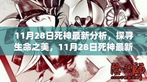 探寻生命之美，最新死神分析的心灵之旅