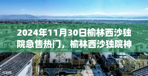 榆林西沙独院急售背后的美食宝藏与独特故事揭秘