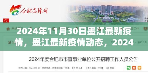 2024年11月30日墨江最新疫情，墨江最新疫情动态，2024年11月30日深度解析