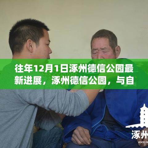 涿州德信公园，与自然对话的奇妙旅程最新进展揭秘（往年12月1日）