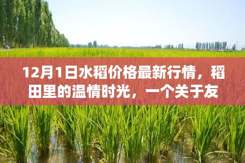 张牙舞爪 第5页
