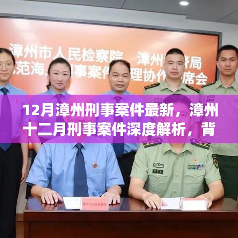 漳州十二月刑事案件深度解析，背景、进展与影响全解析