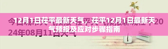茌平12月1日天气预报，最新气象信息及应对指南