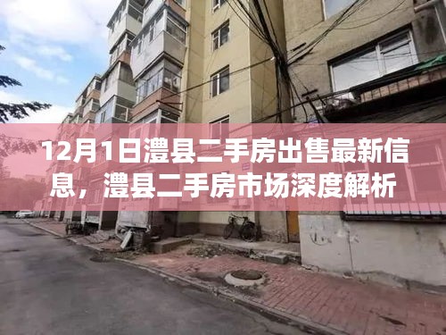 鸟集鳞萃 第4页