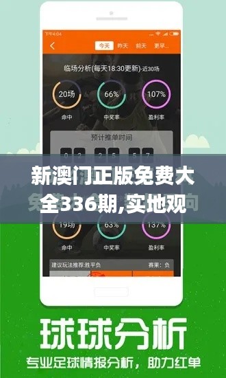新澳门正版免费大全336期,实地观察解释定义_UNN89.570超级版
