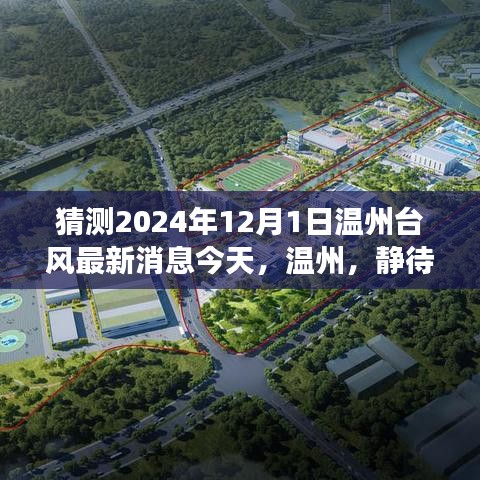 温州台风最新消息，探索自然，寻找内心的宁静之旅（预测2024年12月1日）