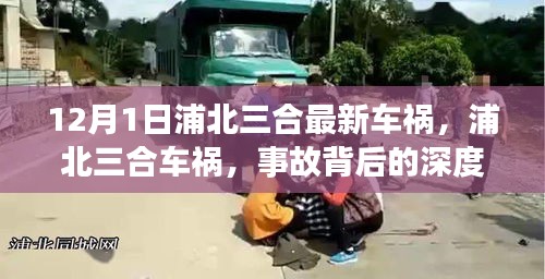 集思广益 第5页