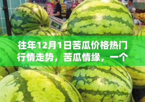 苦瓜情缘，价格走势下的友情与陪伴故事