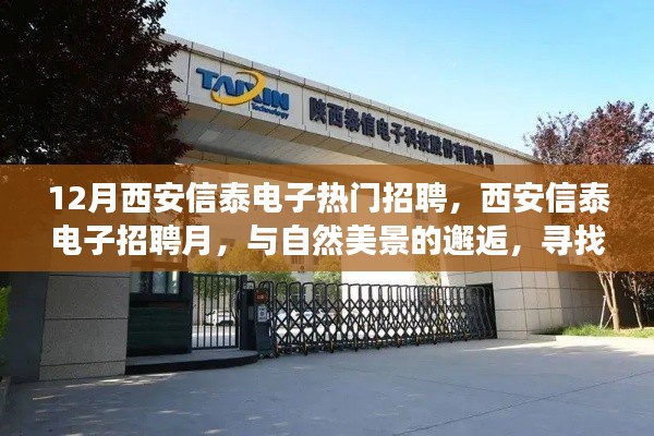 西安信泰电子招聘月，与自然美景相遇，寻找内心的平和之旅