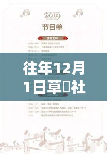 草塮社区热门活动回顾与展望，历年12月1日盛况一览