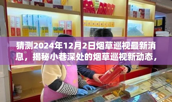 揭秘烟草巡视新动态，特色小店故事与最新巡视消息（预测2024年12月）