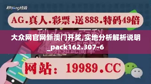 大众网官网新澳门开奖,实地分析解析说明_pack162.307-6
