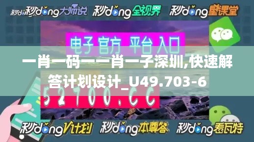 一肖一码一一肖一子深圳,快速解答计划设计_U49.703-6