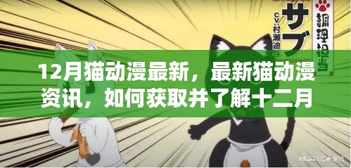 十二月猫动漫最新资讯全攻略，获取最新猫动漫资讯的方法与指南