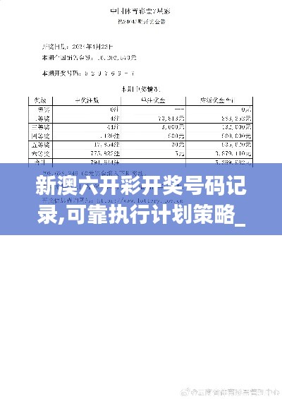 新澳六开彩开奖号码记录,可靠执行计划策略_开发版134.208-3