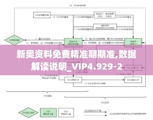新奥资料免费精准期期准,数据解读说明_VIP4.929-2