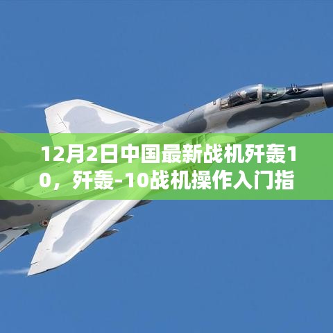 操作入门指南