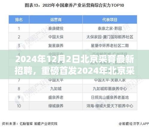 雅量高致 第4页